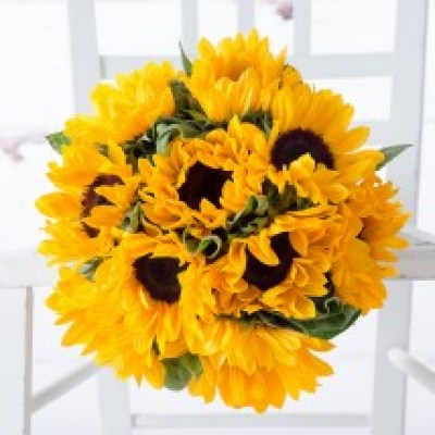 simply_sunflowers